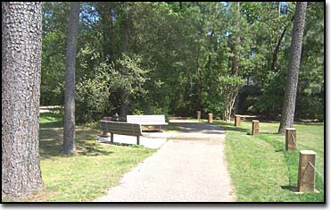 Woodlands Texas Millbend Loop Linear Park