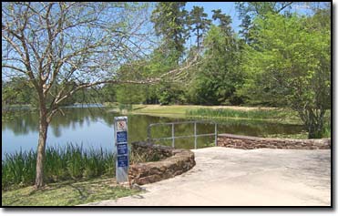 Woodlands Texas Pastoral Pond Park