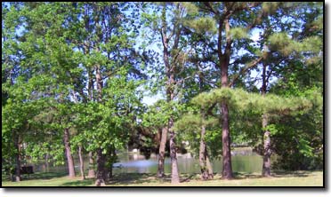 Woodlands Texas Shadow Point Park