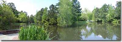 Hidden View Pond Park