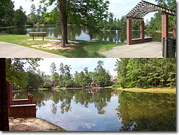 Woodlands Texas Summer Cloud Park