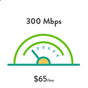 300 Mbps - $65/Month