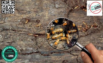 Termite and Home Pest Bundle discount