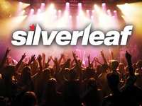 Live Music with Silverleaf
