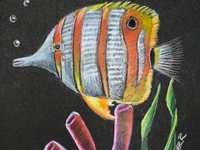 Summer Art Camp - Sea Life & Sandcastles - Afternoon Camp - Ages 5 - 7