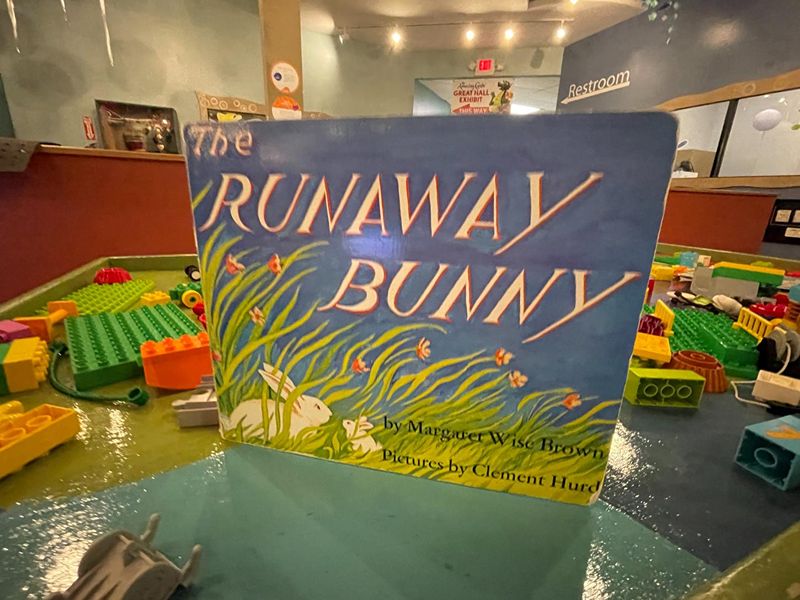 Shadow Puppet Theatre-The Runaway Bunny - Vimarsana News