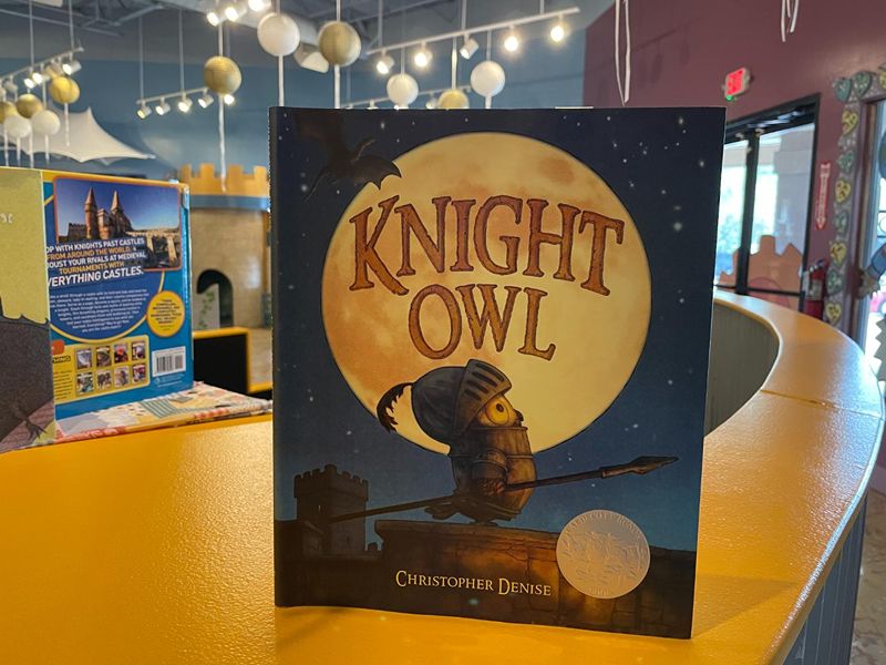Storybook Theatre-Knight Owl - Vimarsana News