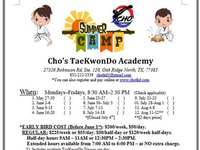 Cho’s TaekwonDo Academy Summer Camp - Week 5