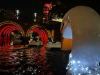 Starlight Swan Ride