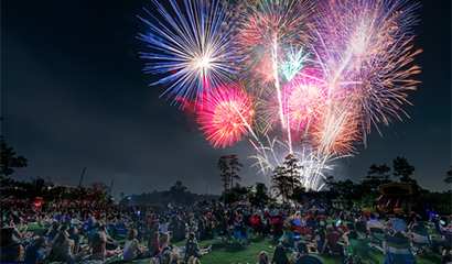 /images/ev/193600/410x240/fireworks.jpg