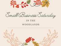 Support Local Businesses in The Woodlands on Small Business Saturday, Nov. 27