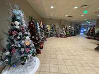 St. Luke’s Health—The Woodlands Hospital Continues Tradition of Donating Christmas Trees