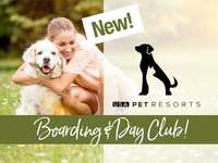 USA Pet Resorts pampers your pooches at a new Woodlands-area location