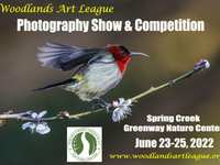 Call to Photographers – Woodlands Art League Photography Show & Competition