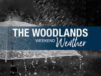 Woodlands Weekend Weather – At last…