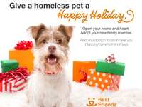 Greater Houston Area Municipal Animal Shelters  Combine Holiday Cheer and Saving Lives