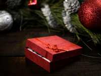These three out-of-the-box gift packages can’t fit under the tree, but they’ll bring joy anyway