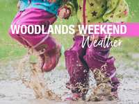 WOODLANDS WEEKEND WEATHER – March 17 - 20, 2023 – Spring? Forward!