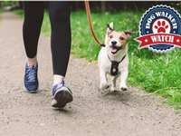 Unleash your knowledge of safety and awareness at Yappy Hours