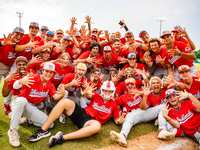 HS Baseball Playoffs: The Woodlands Defeats Rockwall and Moves on to Regional Finals