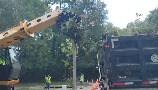 Precinct 3 continues storm debris removal effort | Woodlands Online