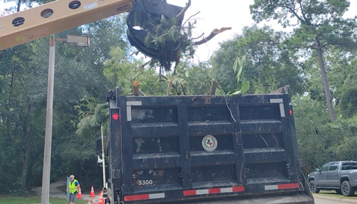 Precinct 3 continues storm debris removal effort | Woodlands Online
