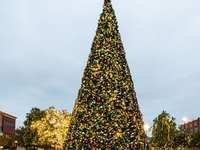 Market Street Annual Tree Lighting is set for November 16, 2023