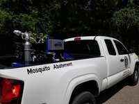 Cooler months don't spell the end of mosquito activity