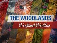 Woodlands Weekend Weather – October 27 - 29, 2023