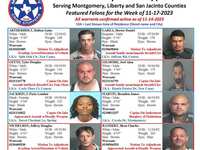 Montgomery County Featured Felons for 11/17/2023