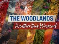 Woodlands Weekend Weather & Events – December 1 - 3, 2023 – Technically, melted snow will be falling