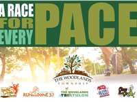 Register to run The Woodlands in 2024 with Township Signature Races