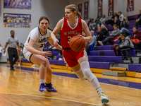 HS Girls Basketball: The Woodlands Squashes Willis Ahead of Competition in the Playoffs