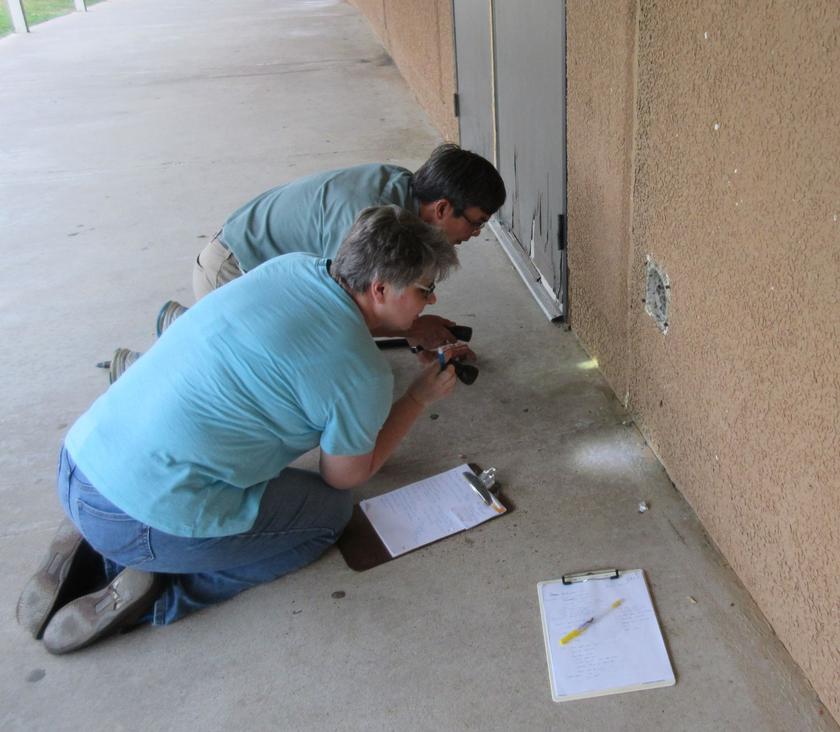 Statewide pest management trainings for school coordinators come to CISD this March