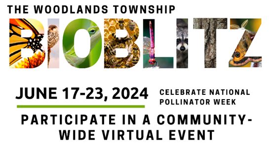 Celebrate National Pollinator Week during Township’s BioBlitz event
