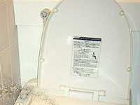 To Bidet or Not to Bidet?  That is the question