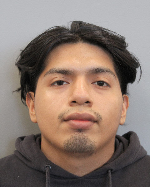 JOSE ARMANDO MEJIA