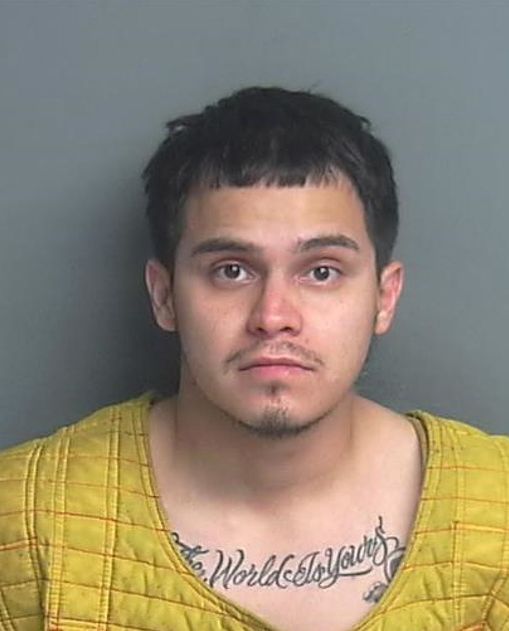 ZARAGOZA GUTIERREZ, LISANDRO