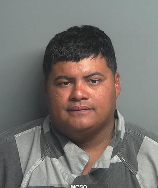 PINEDA-ORELLANA, CRISTIAN