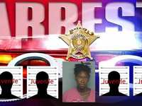 Five Arrested in $7,000 Retail Theft Ring Bust in The Woodlands, Including Four Juveniles