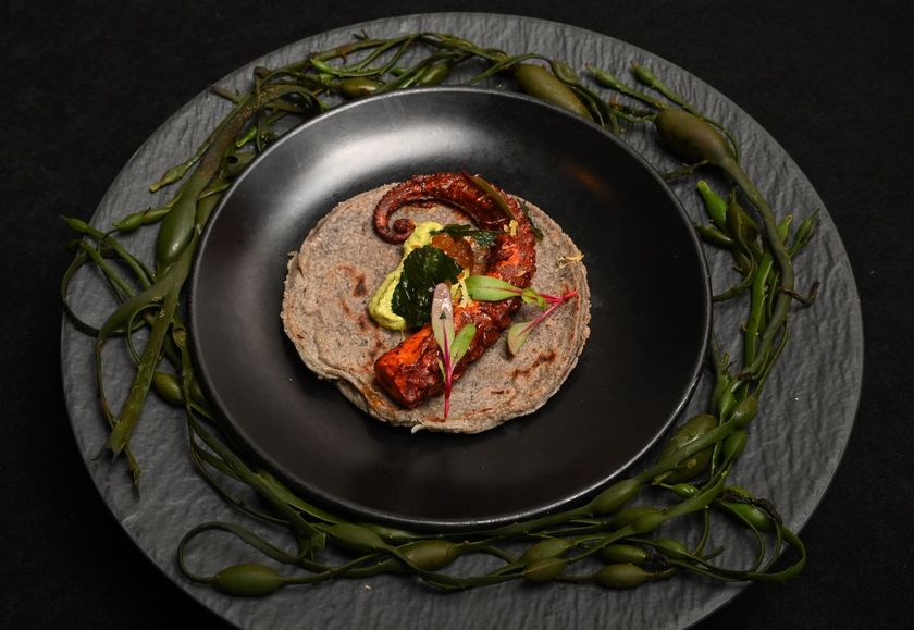 Xalisco 3rd Place Dish Chef Martines