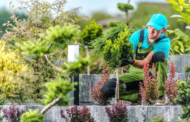 /images/newsimage/84594/660x423/Texwoods-Pround-gardener.jpg