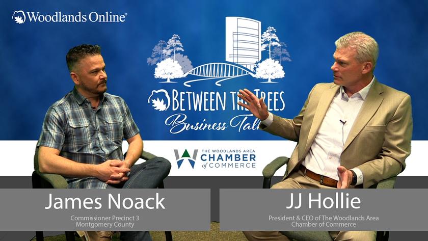 Between The Trees Business Talk - 039 - James Noack