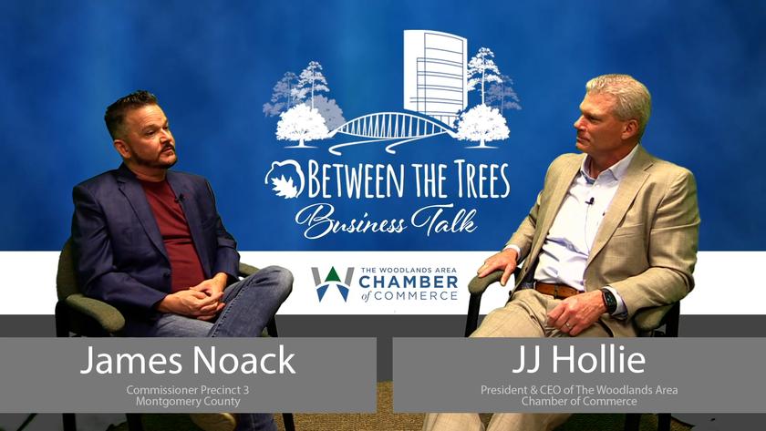 Between The Trees Business Talk - 056 - James Noack