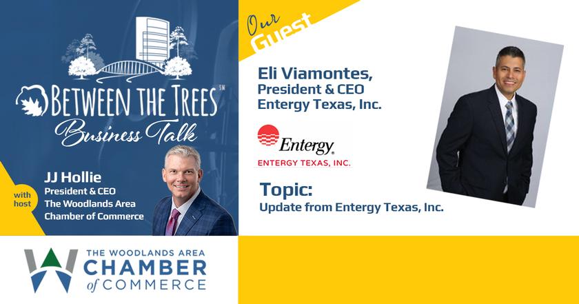 Between The Trees Business Talk - 065 - Eli Viamontes