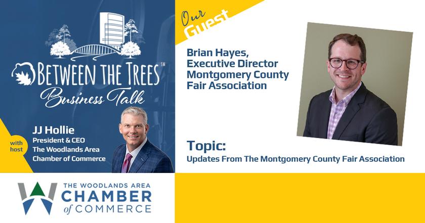 Between The Trees Business Talk - 067 - Brian Hayes