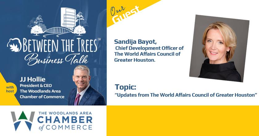 Between The Trees Business Talk - 069 - Sandija Bayot