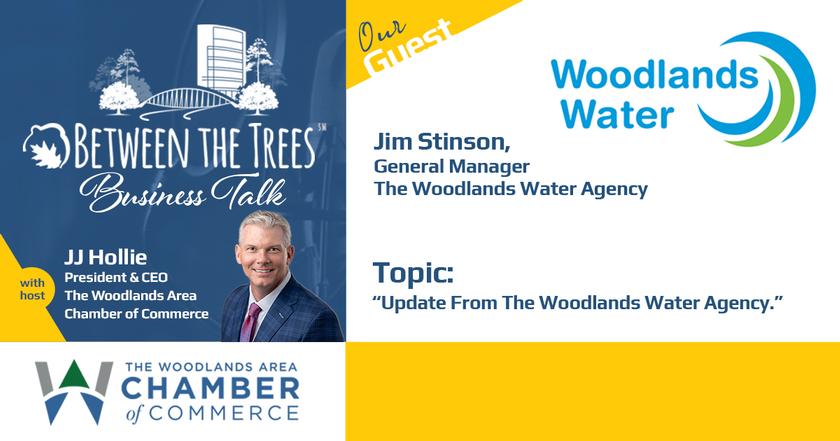 Between The Trees Business Talk - 075 - Jim Stinson