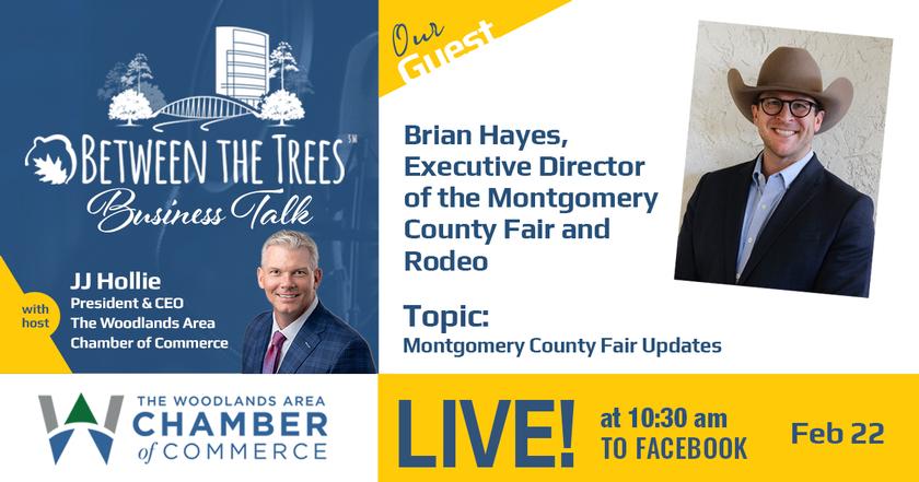 Between The Trees Business Talk - 099 - Brian Hayes