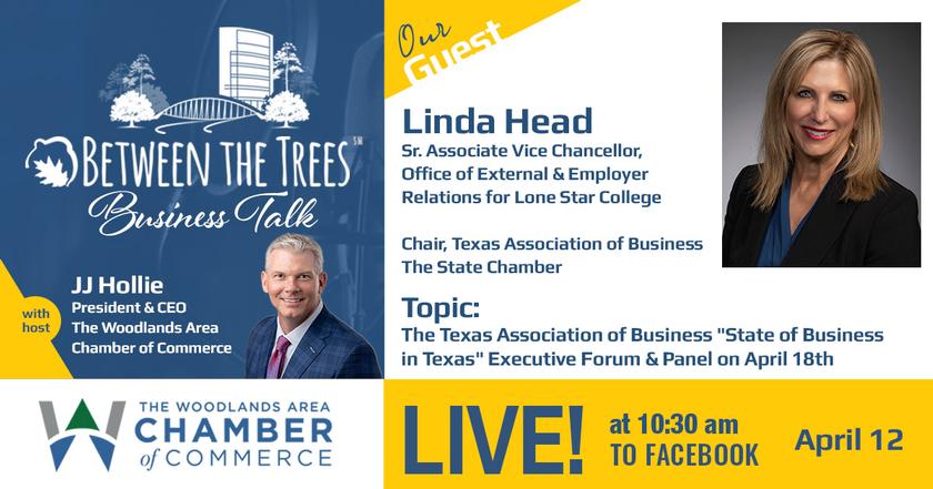 Between The Trees Business Talk - 103 - Linda Head